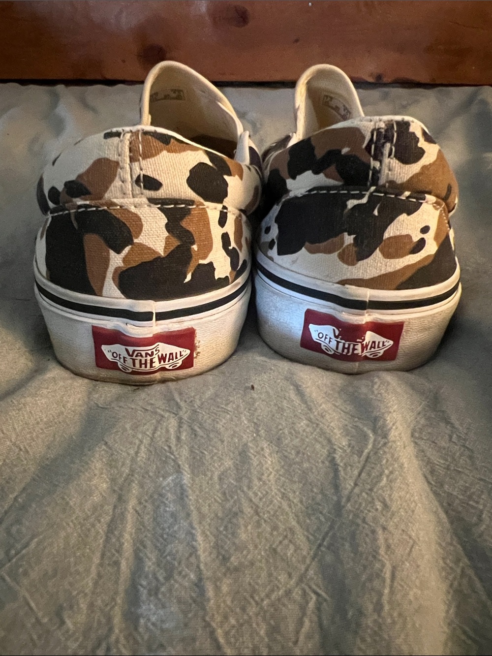 Printed vans - Picture 2 of 6